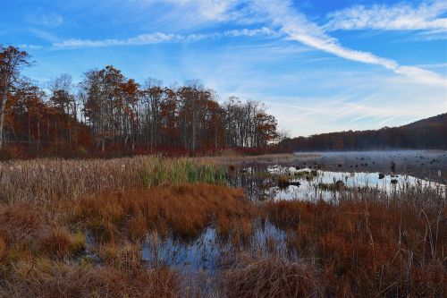 lake coast water