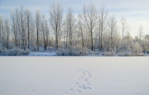 lake travel siberia