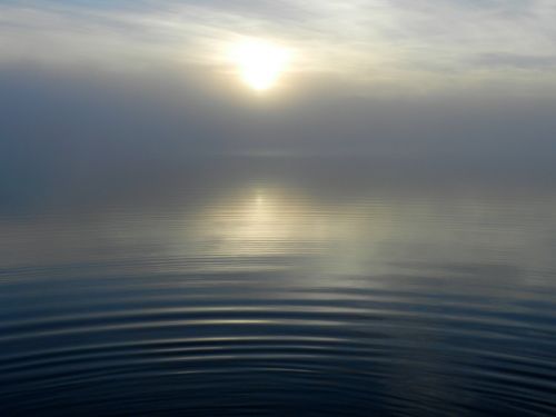 lake morning fog