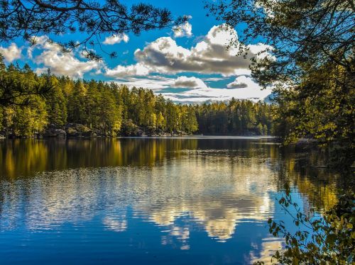 lake nature reflection