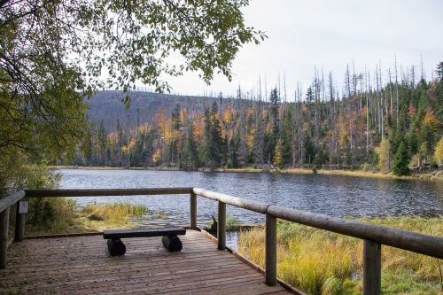 lake nature landscape