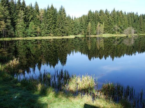 lake nature waters