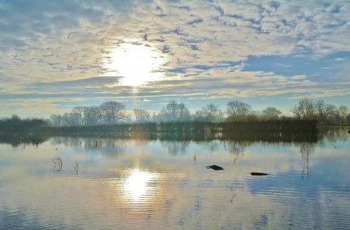 lake winter countryside