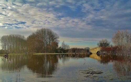 lake winter countryside