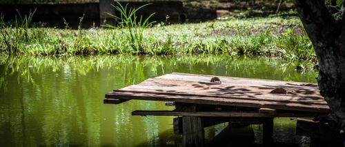 lake landscape nature