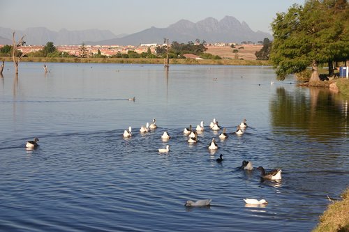 lake  nature  outdoor