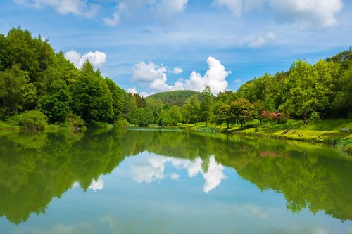 lake  pond  waters