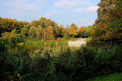 lake water forest