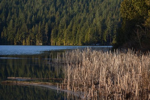 lake  reflection  dawn