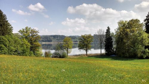 lake landscape trees