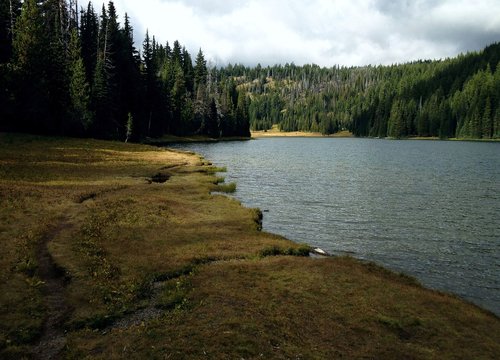 lake  trees  background