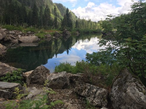 lake  wilderness  nature