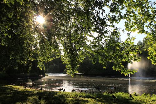 lake water sun