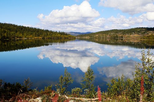 lake  water  surface