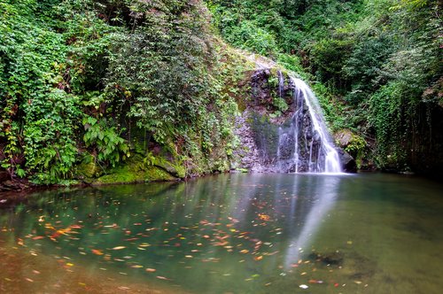 lake  nature  rize