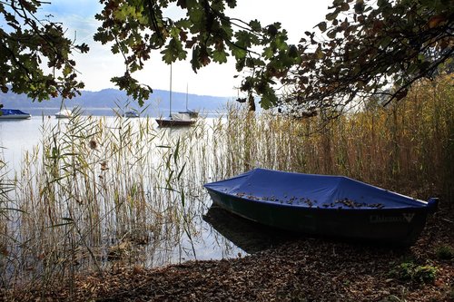 lake  reed  boats