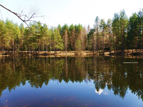 lake  russia  forest