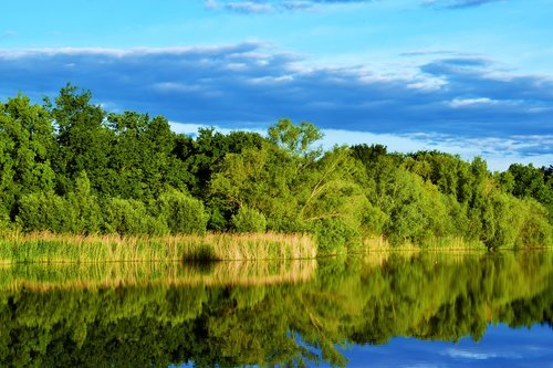 lake  water  trees