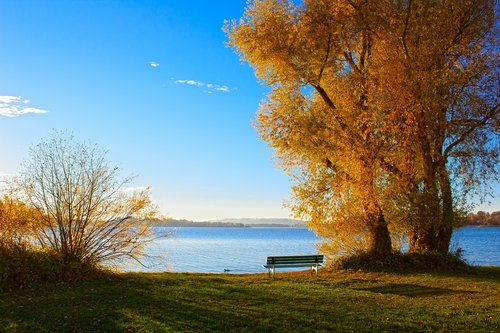 lake  chiemsee  autumn