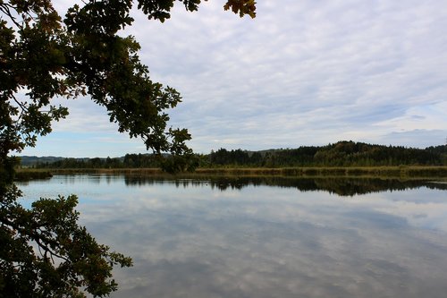 lake  brine  autumn