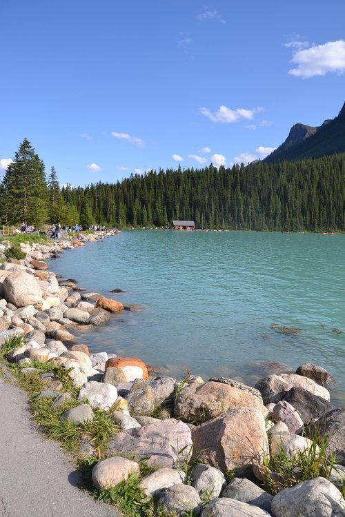 lake  water  nature