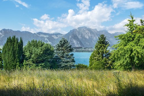 lake  switzerland  mountains