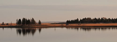 lake  trees  nature