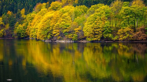 lake  green  autumn