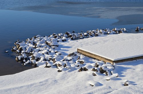 lake  winter  landscape