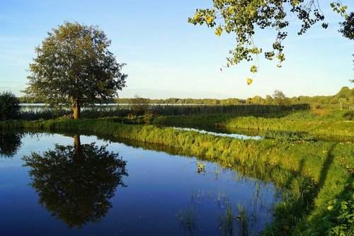 lake  nature  landscape