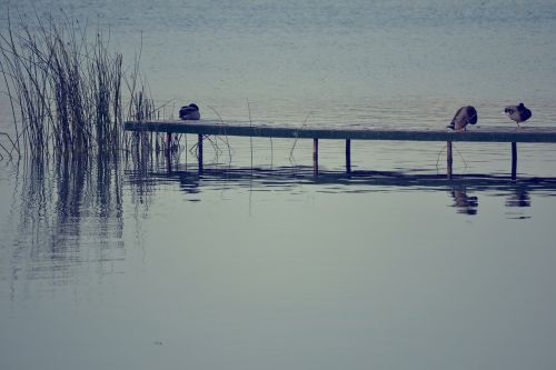 lake nature water