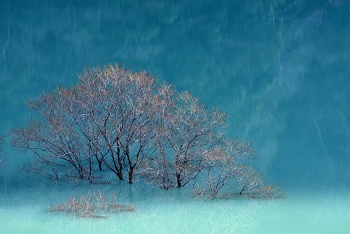 lake  lakeside  water