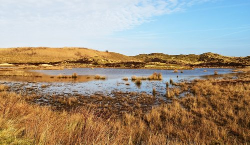 lake  water  nature