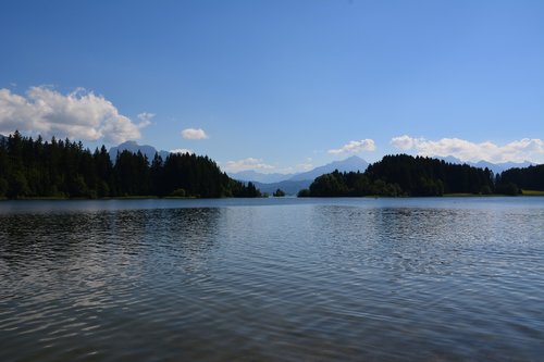 lake  tree  landscape