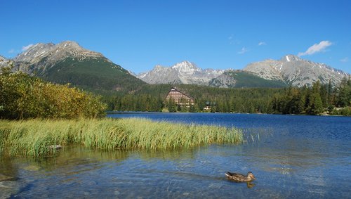 lake  mountains  slovakia
