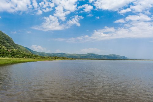 lake  manyara  africa