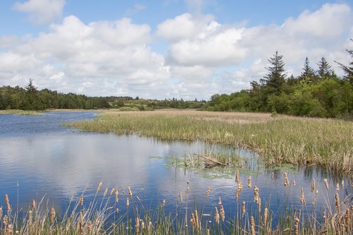 lake  marbæk  esbjerg