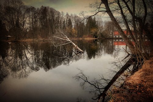 lake  pond  water