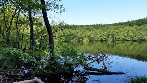 lake  landscape  woods