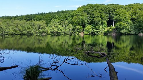 lake  landscape  woods