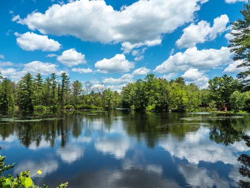 lake  water  summer