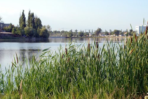 lake  sky  water