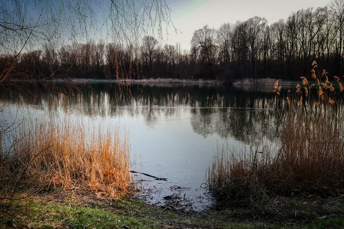 lake  mirroring  water