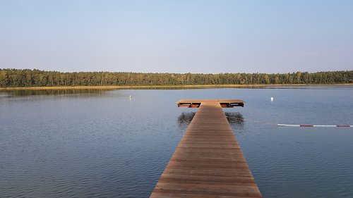 lake  web  summer