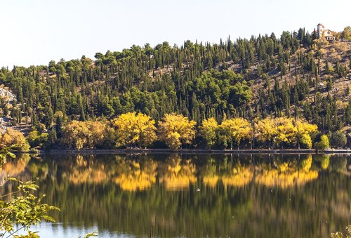 lake  trees  water