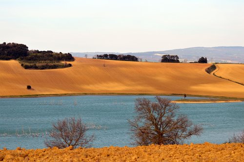 lake  spring  landscapes