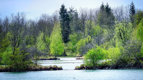 lake  landscape  forest