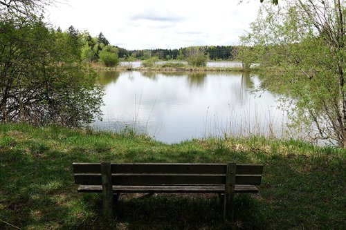 lake  bank  lake view
