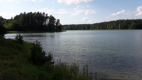lake  forest  landscape