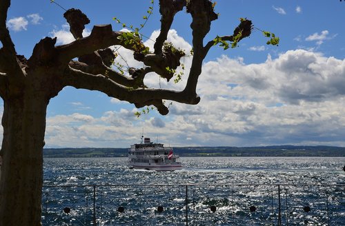 lake  ship  tree